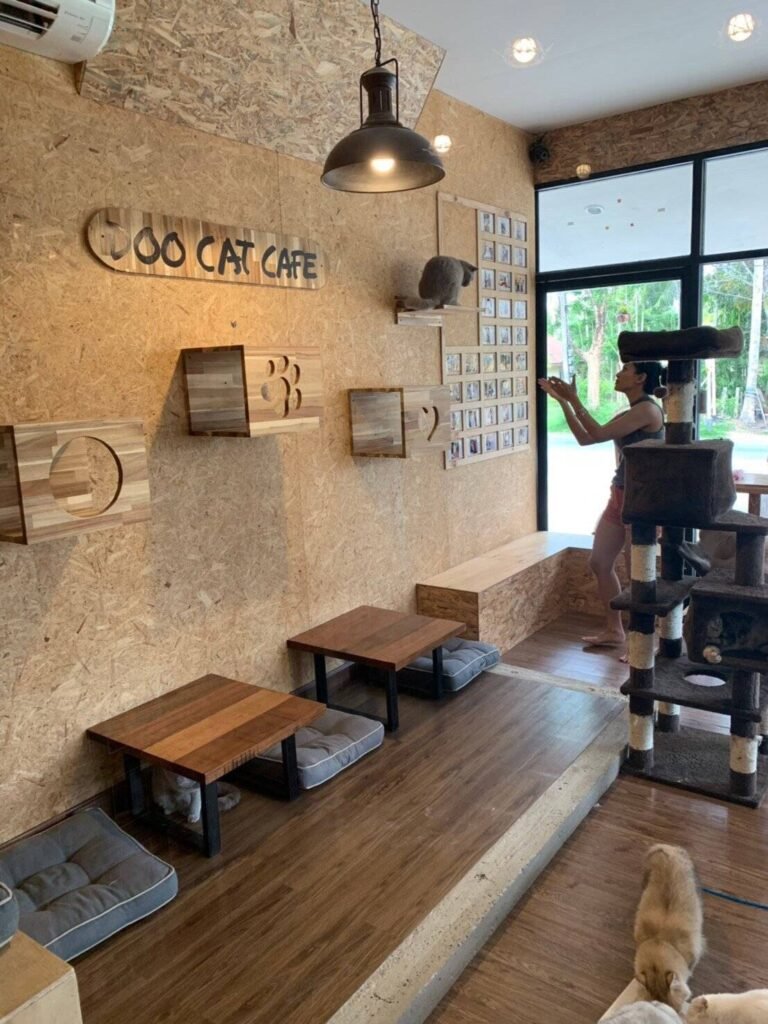 ย่านเมืองเก่าชิโนโปรตุกีส ภูเก็ต ทัวร์สายกินและคาเฟ่