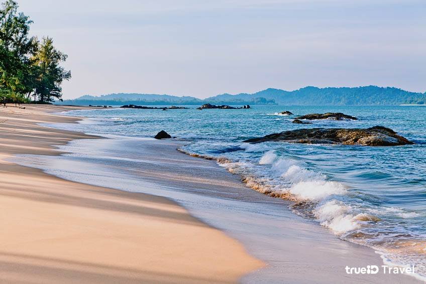 ธรรมชาติป่าเขาพังงา - เขาหลัก เดย์ทริปภูเก็ต SafePhuketTravel
